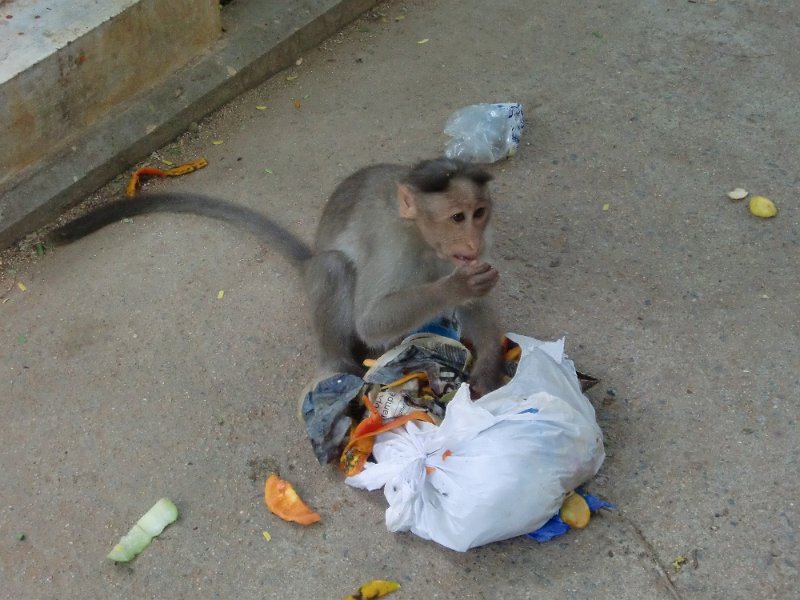 India Trip - July 2010 311.jpg